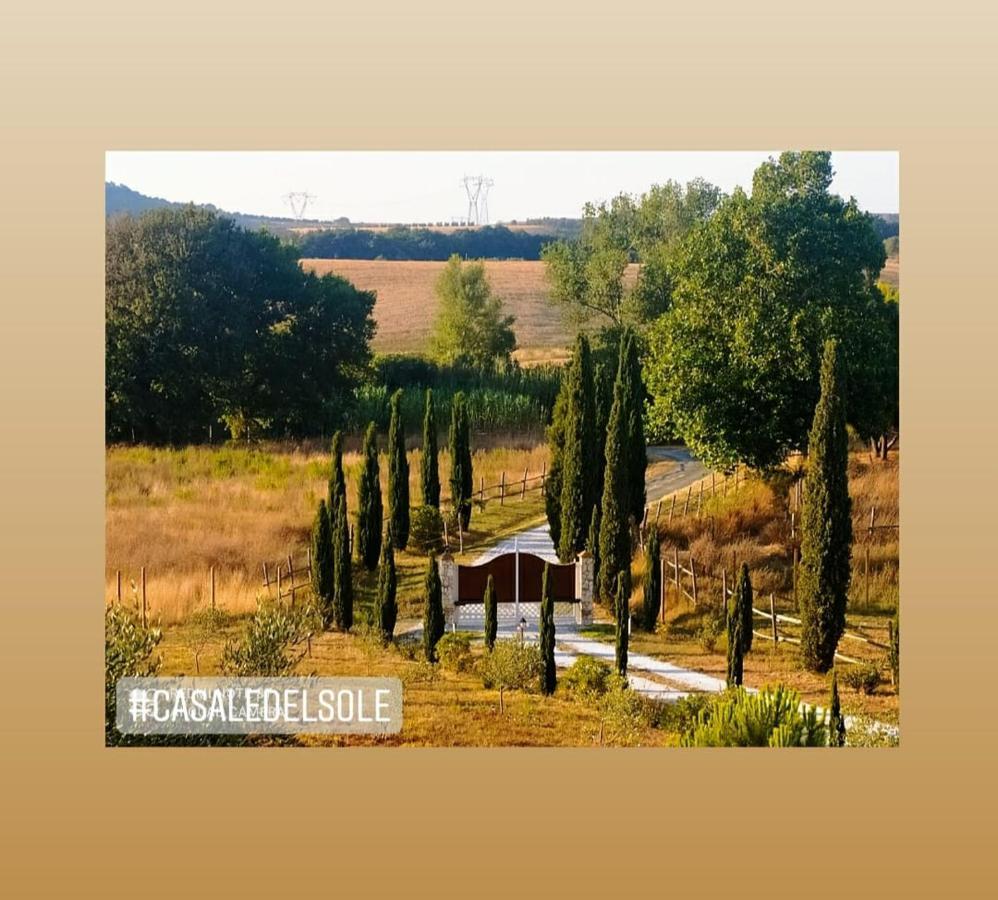 Bed And Breakfast Casale Del Sole Кастелліна-Мариттіма Екстер'єр фото