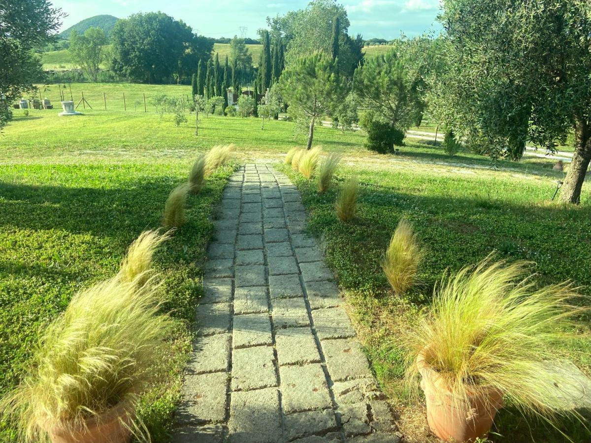 Bed And Breakfast Casale Del Sole Кастелліна-Мариттіма Екстер'єр фото
